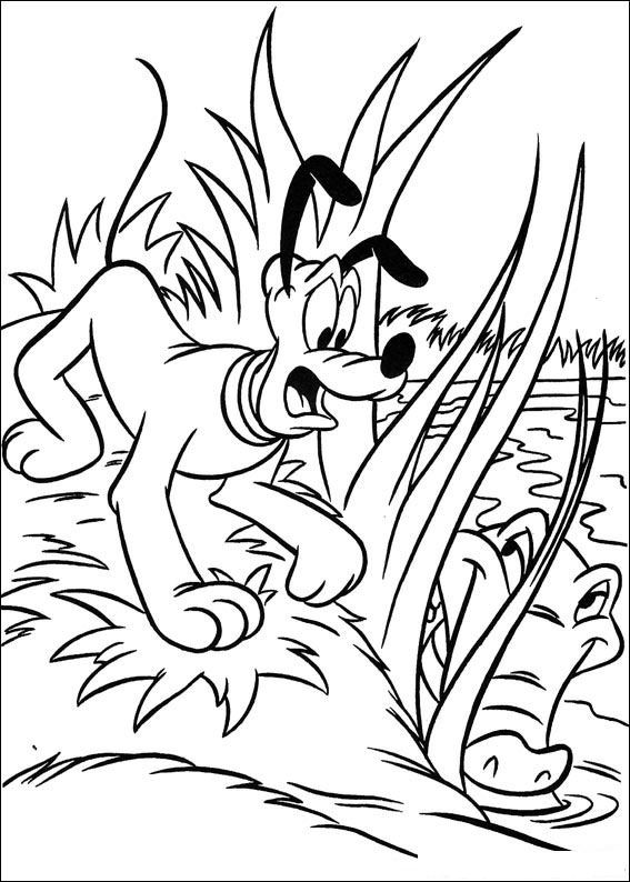 Kids-n-fun.com | Coloring page Mickey on safari Mickey on safari
